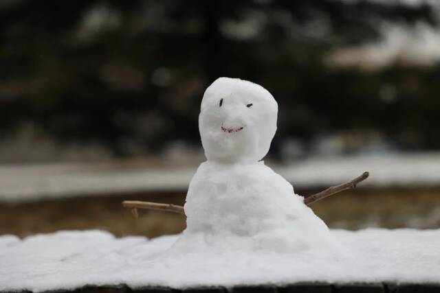 当华电春花遇到烂漫春雪……