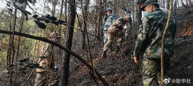 南部战区组织兵力赶赴东航坠机现场救援 多支部队随时准备支援