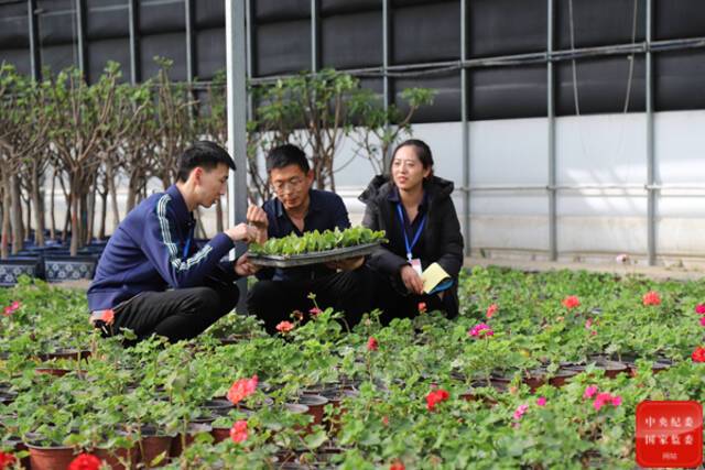 镜头  提级监督规范基层权力运行