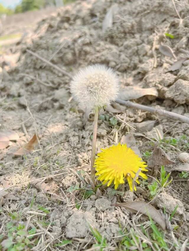 不起眼的角落