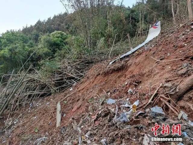 东航客机坠机现场。通讯员江怀鹏武警广西梧州支队提供