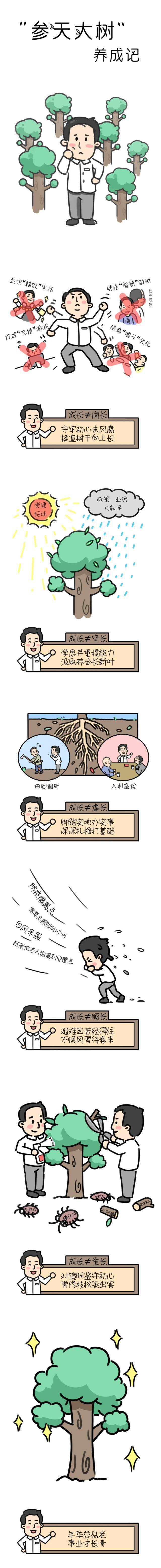 漫画丨参天大树养成记