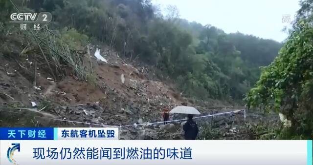 东航客机救援核心区域面积超2万平方米 黑匣子如何搜寻