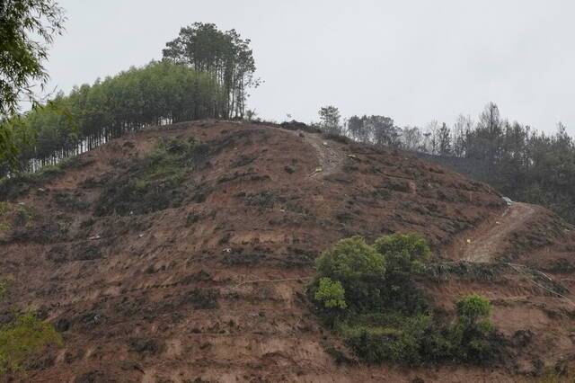 3月24日，广西梧州，搜救工作在雨中继续进行。坠机地点附近的山坡上散落着烧毁的树木和客机残骸。