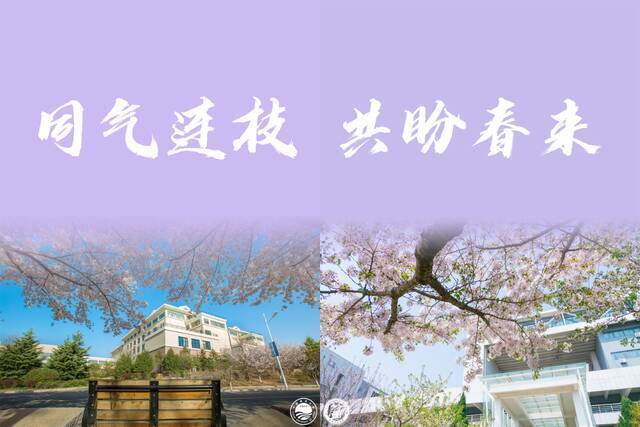 @中国石油大学（华东）：同心抗疫，一起加油！