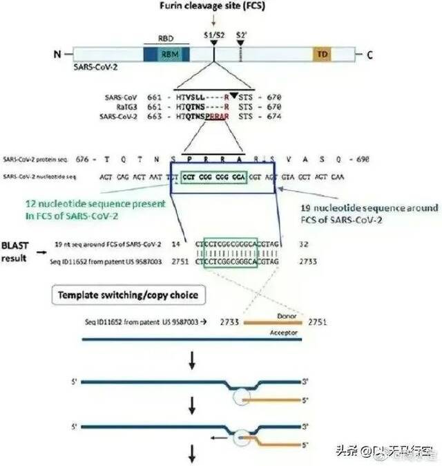 突发：英媒宣称 研究证实新冠病毒是美国公司制造