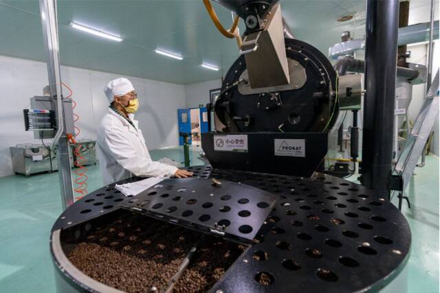 在云南普洱爱伲庄园咖啡有限公司内，工作人员在烘焙豆生产线上忙碌（2月22日摄）。新华社记者陈欣波摄