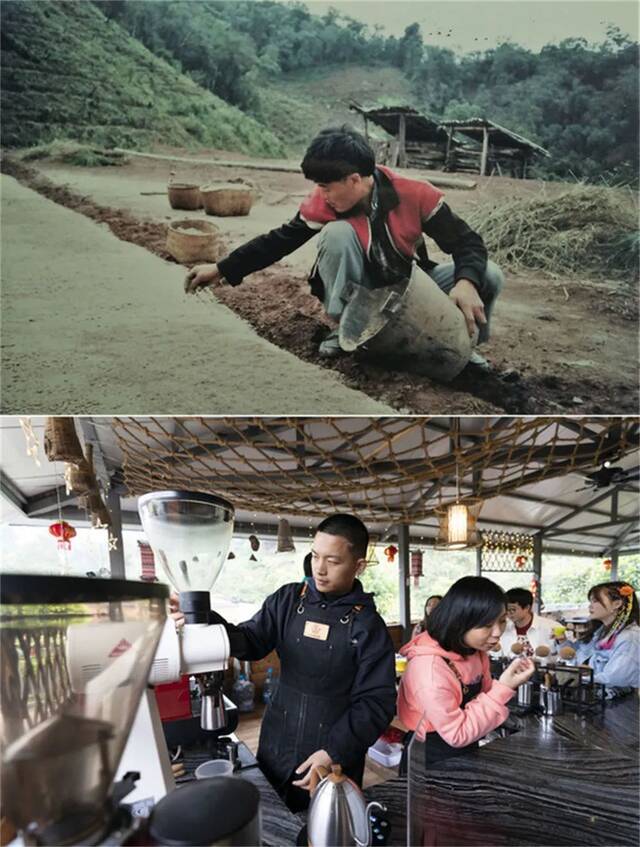 春来远山“魔豆”香！一杯咖啡里的山乡巨变