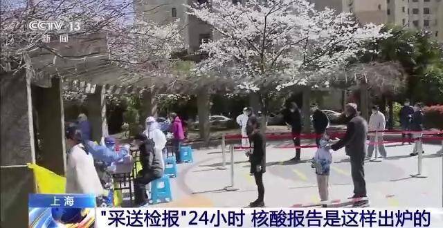 “采送检报”24小时，核酸报告是这样出炉的