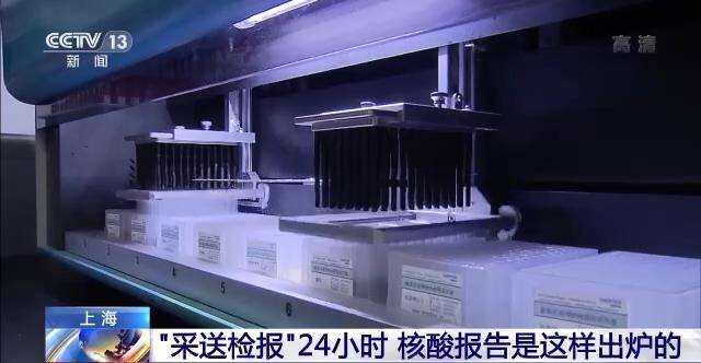 “采送检报”24小时，核酸报告是这样出炉的