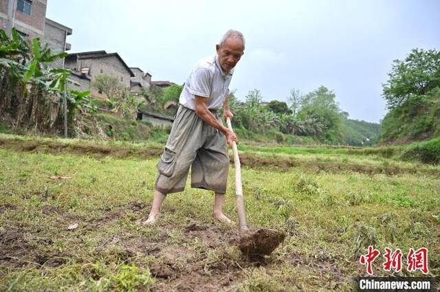 黄建义在发现疑似飞机残骸的地方用锄头比划描述。俞靖摄