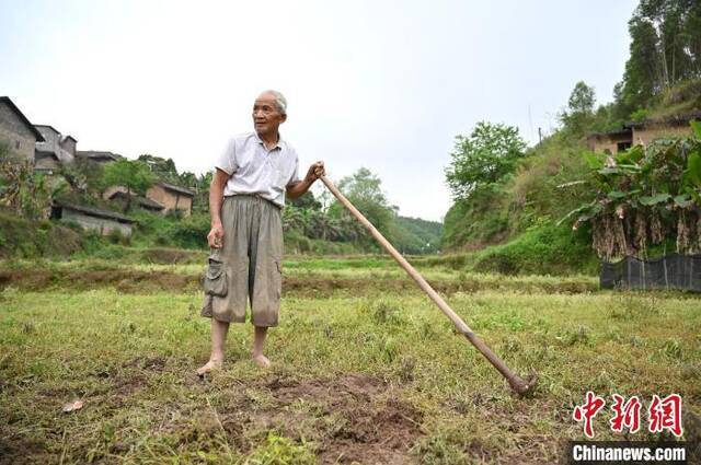 黄建义发现疑似飞机残骸的地方，距离村民房屋不到30米。俞靖摄