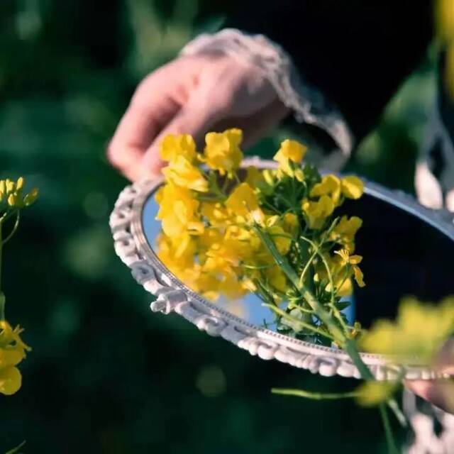 春天，在云大邂逅一场花海