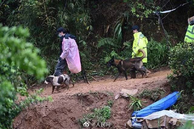 这一幕泪目！武警官兵在进场搜救前默哀