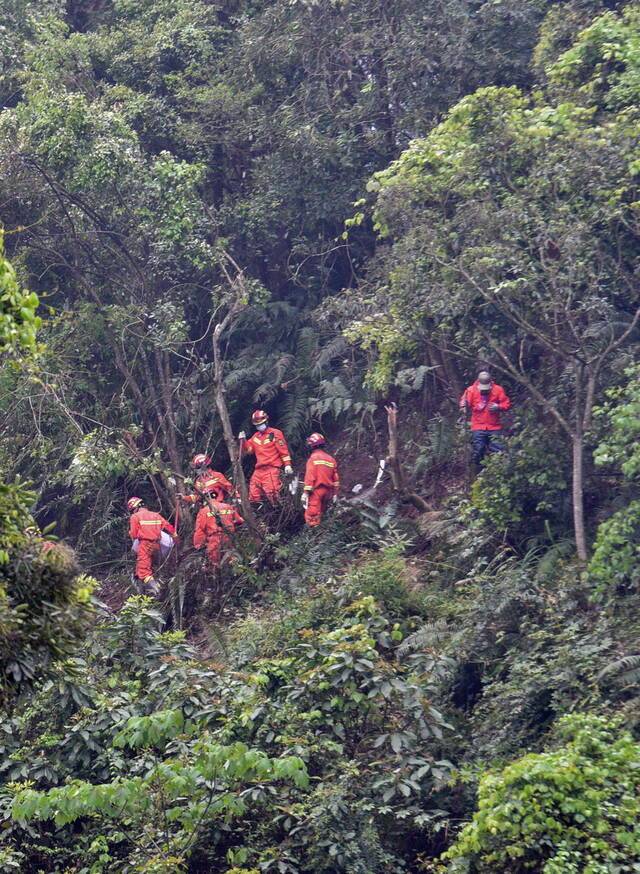 3月24日，广西梧州藤县，消防战士在空难事故核心区山林间搜寻。人民视觉图