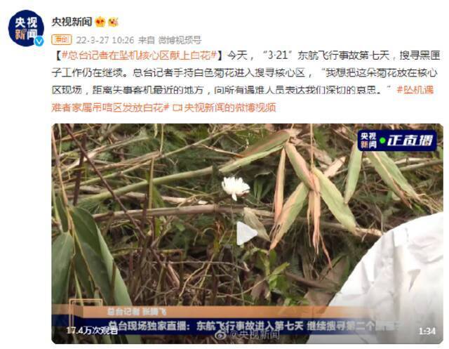 东航客机在广西梧州坠毁 总台记者在坠机核心区献上白花