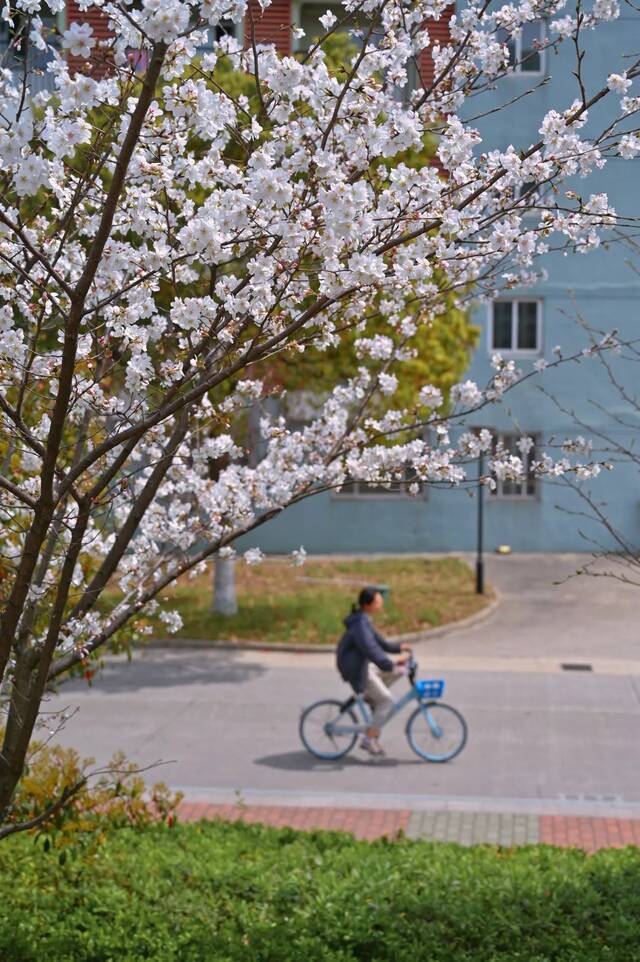 谁是你心中的宁大校花？