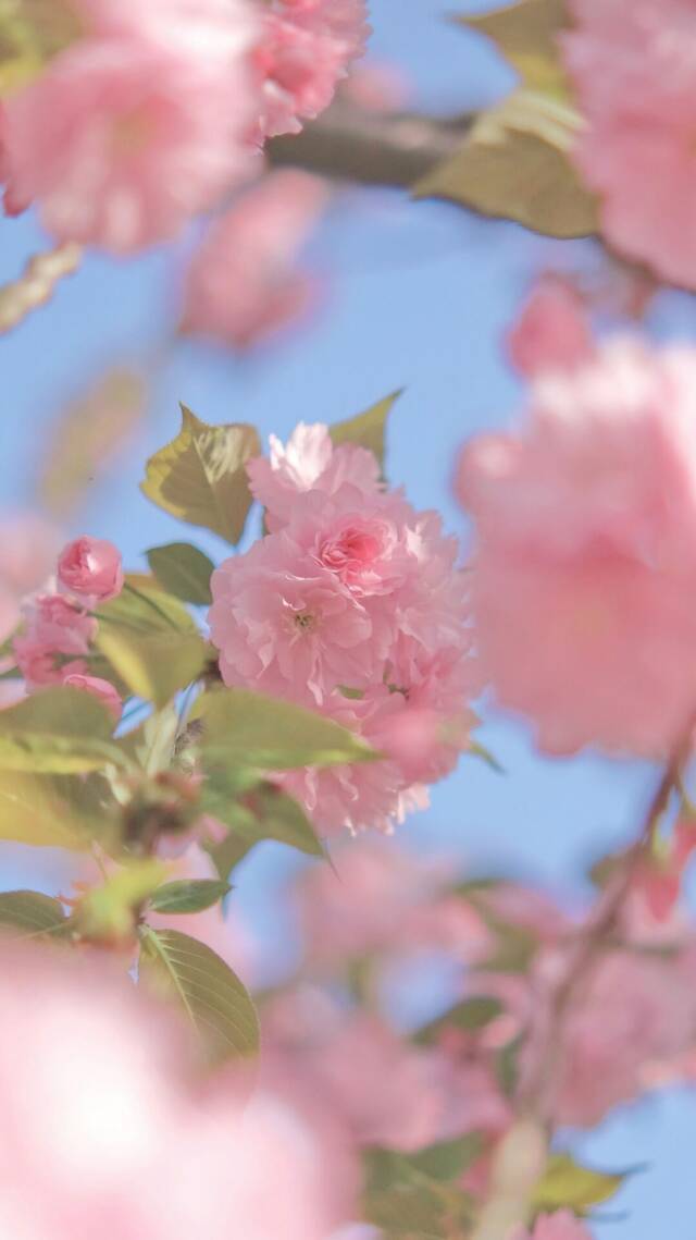 OMG！湖工春日限定眼影盘！教你玩转彩妆！