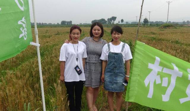 2018年6月，王颖（中）和同事在十家子村田间地头。（受访者供图）