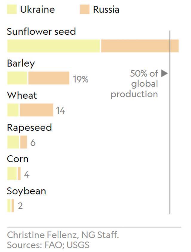 俄乌部分农作物供应全球占比国家地理杂志截图