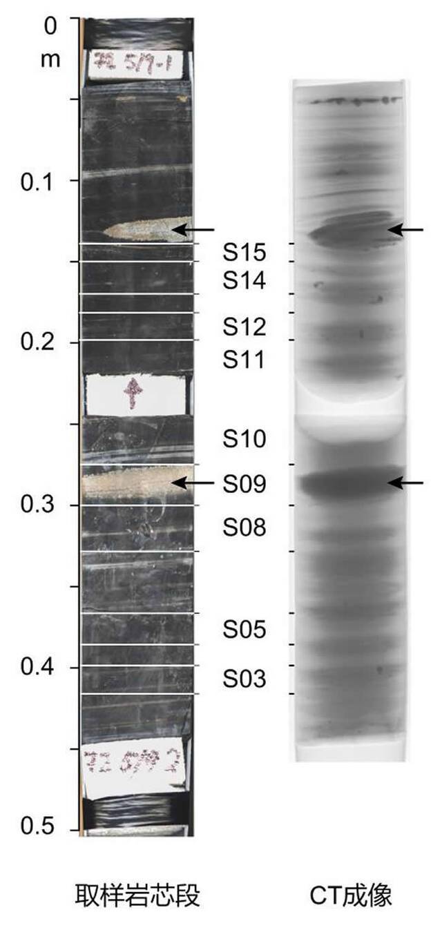岩芯和CT成像图片。中科院地质与地球物理研究所李扬供图