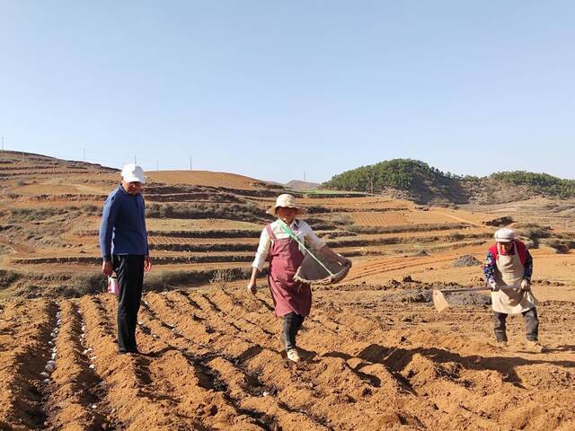 农业推广研究员刘飞（左一）在指导村民进行春耕。新华社记者林碧锋摄
