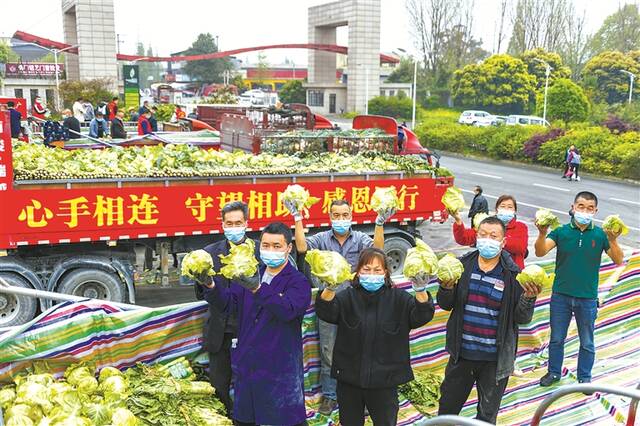 画里有话丨团结一心守好民生保障线