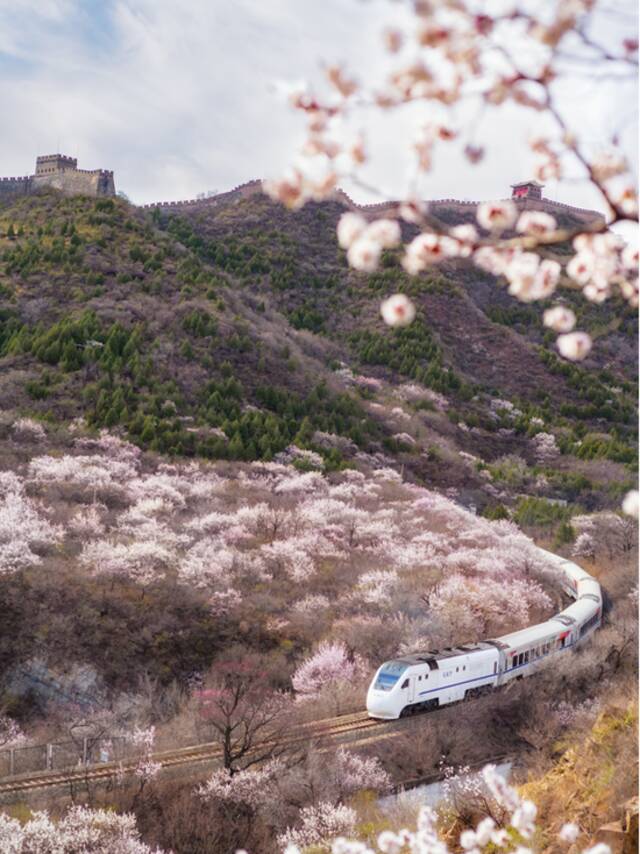 宝藏打卡地！来这里感受北京的春天