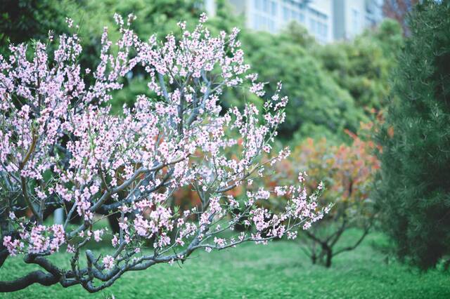 想见你，在18℃的师大春风里！