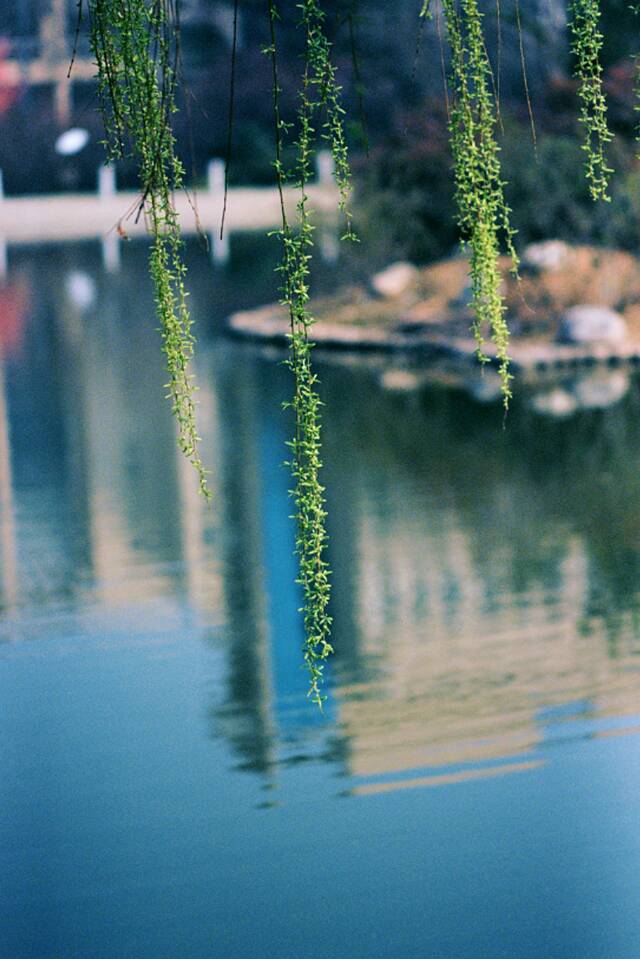 想见你，在18℃的师大春风里！