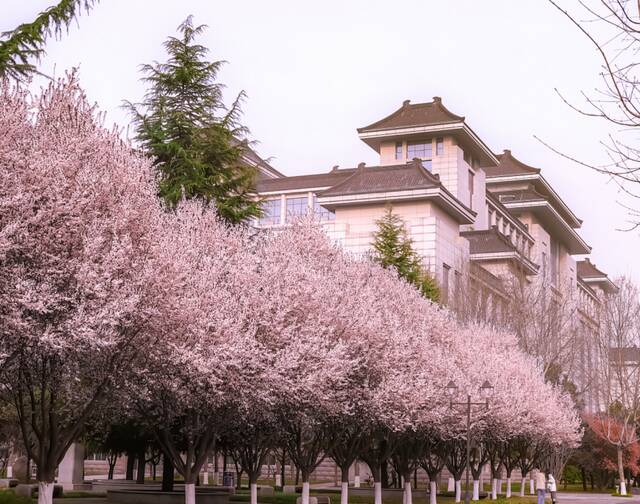 想见你，在18℃的师大春风里！