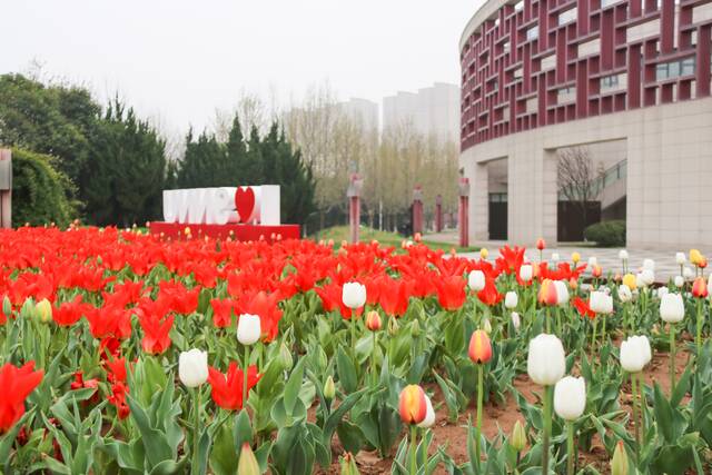 想见你，在18℃的师大春风里！