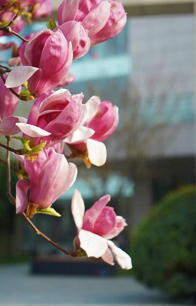 想见你，在18℃的师大春风里！