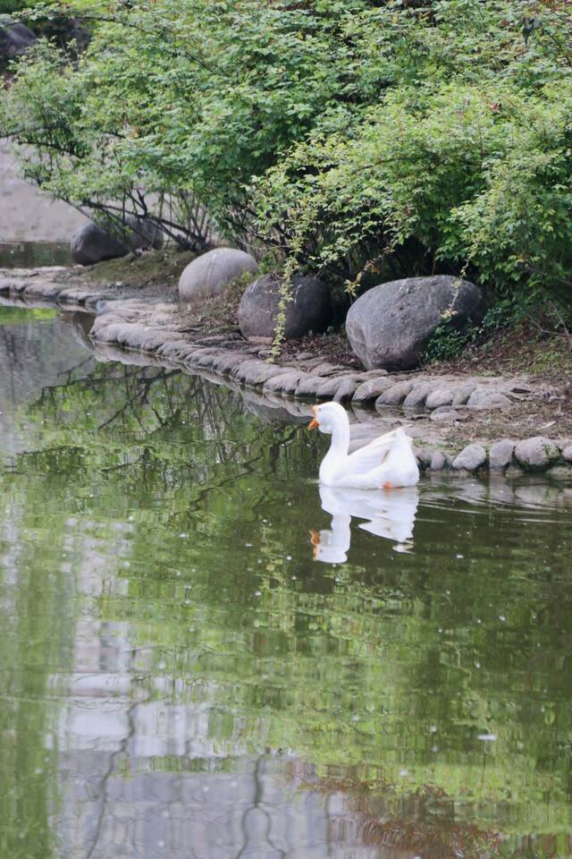 想见你，在18℃的师大春风里！