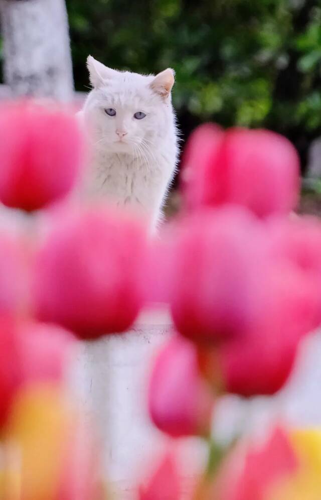 想见你，在18℃的师大春风里！