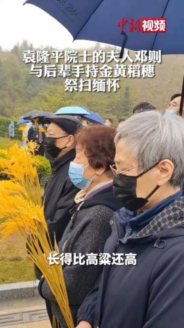 中新视频截图