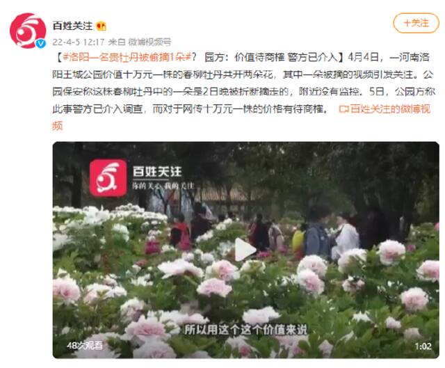 洛阳一名贵牡丹被偷摘1朵？ 园方：价值待商榷 警方已介入