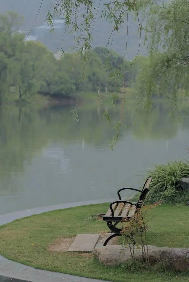 寄思念，向未来  今日清明