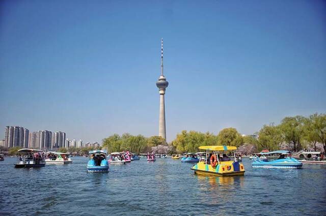 4月3日，北京玉渊潭，游客们在游船上游玩。新京报记者薛珺摄