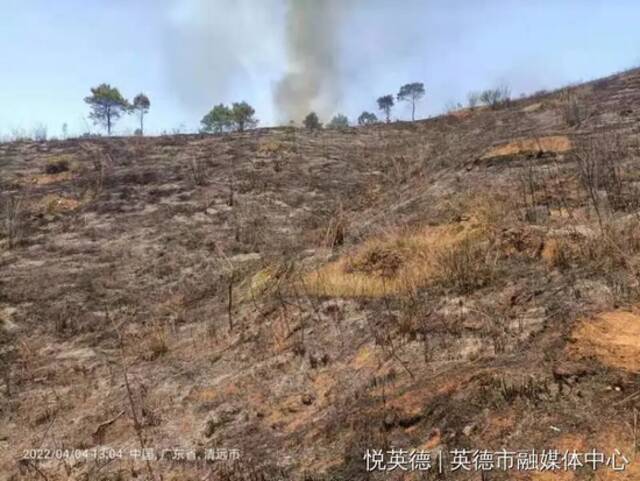 广东多地红色预警！近期高发，多人被拘！