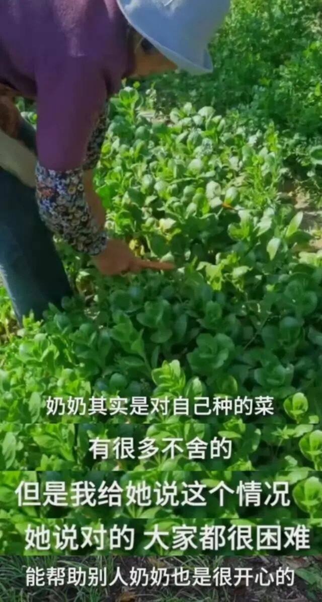 这8个细节，让人忍不住泪目！