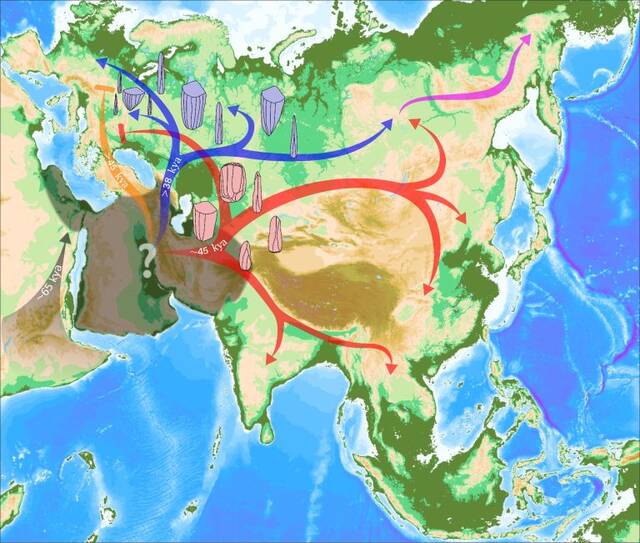 保加利亚Bacho Kiro洞穴出土的古人类遗骸与当代东亚人的关系更密切