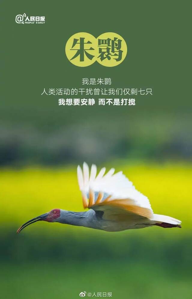 这份守护，东林从未停止！