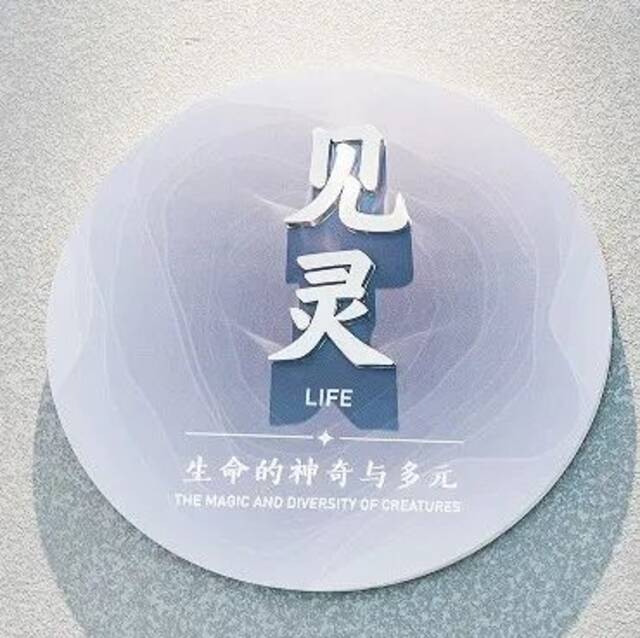 快和小师一起“云”开启博物馆奇妙之旅！