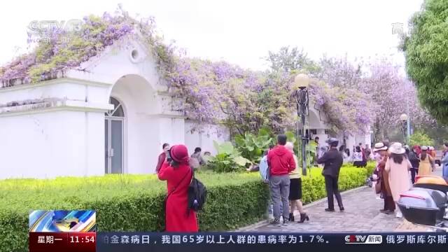 全球约四成人受过敏困扰 专家：积极预防和治疗是关键