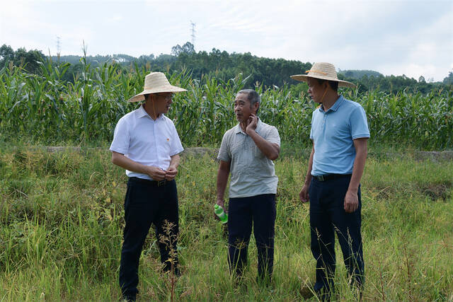 鱼峰区：抗大旱 保民生 促增收