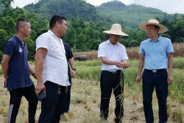 鱼峰区：抗大旱 保民生 促增收