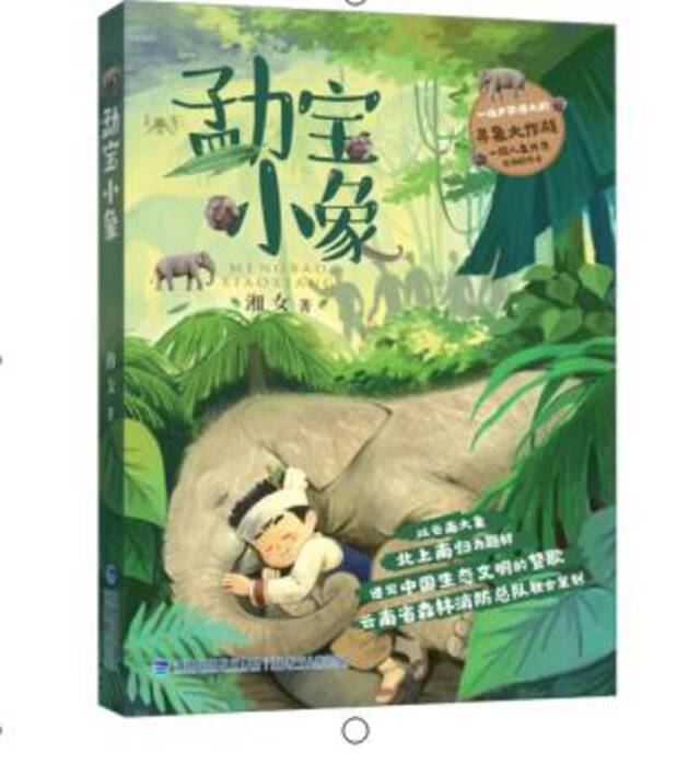 山水童心：儿童文学里的生态文明——《勐宝小象》线上研讨会召开