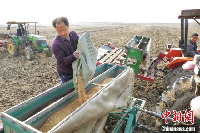 农民播种小麦。中新社记者佟郁摄