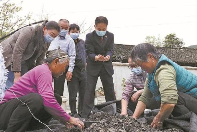 多地检察机关护航农耕安全